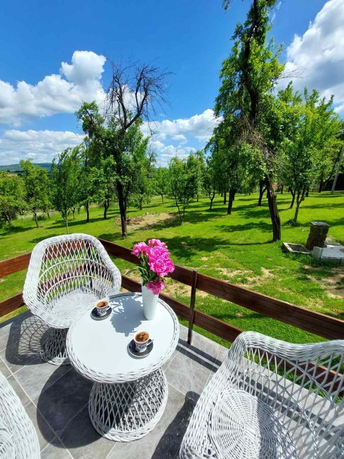 Villa Vikendica Gaj Gornji Milanovac Esterno foto