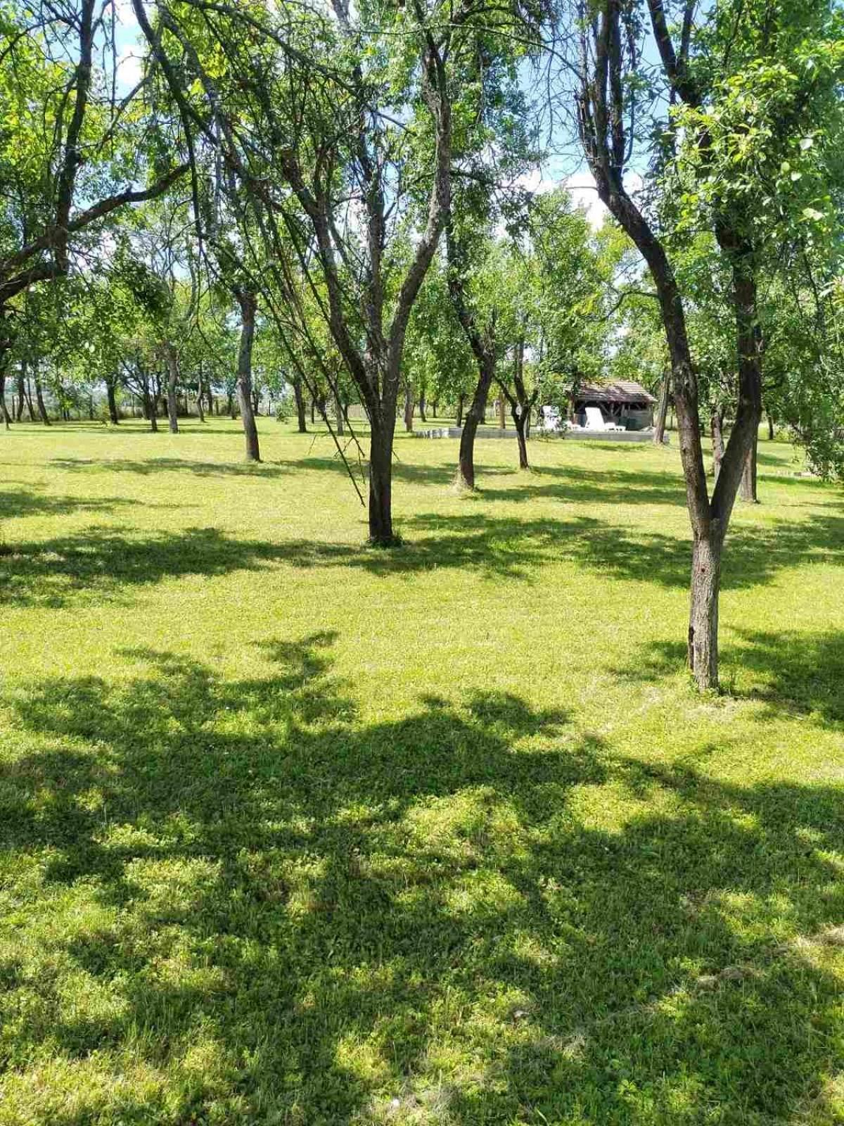 Villa Vikendica Gaj Gornji Milanovac Esterno foto